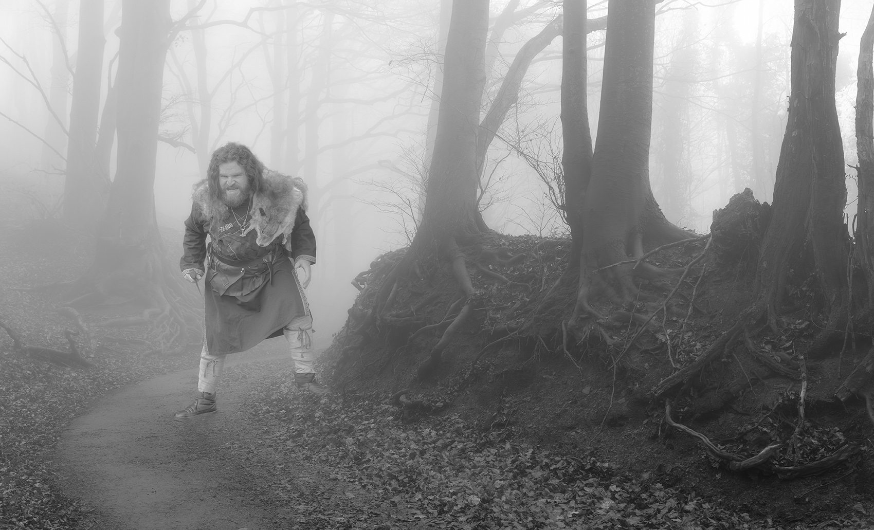 0183TZ Waldweg  Nebel mit Räuber