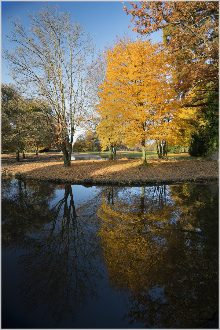 0185 Park Schloß Favorit