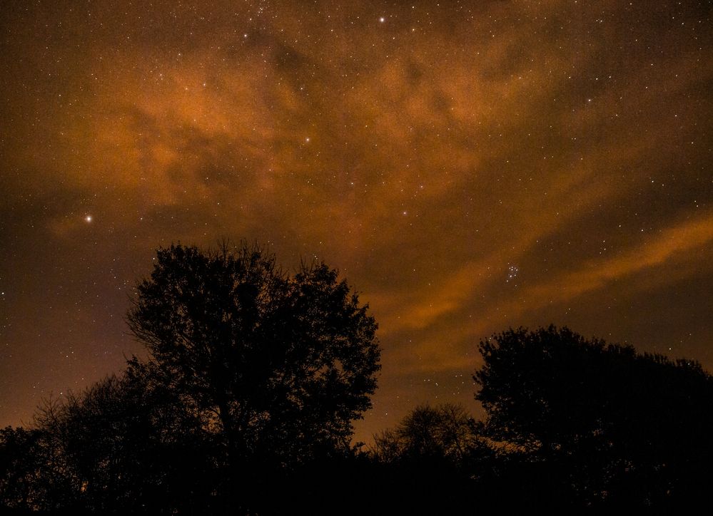 Bäume bei Nacht von Jensschwalbe 