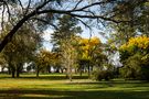 Tarde de otoño by Roberto Justo Robiolo