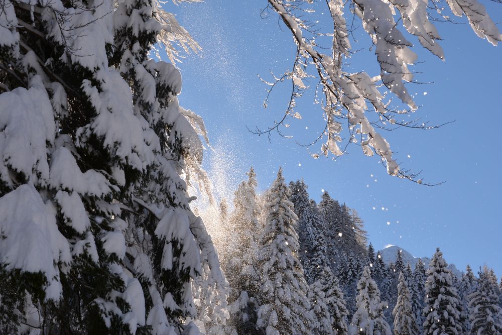 Die Kraft der Sonne von Harald Römer