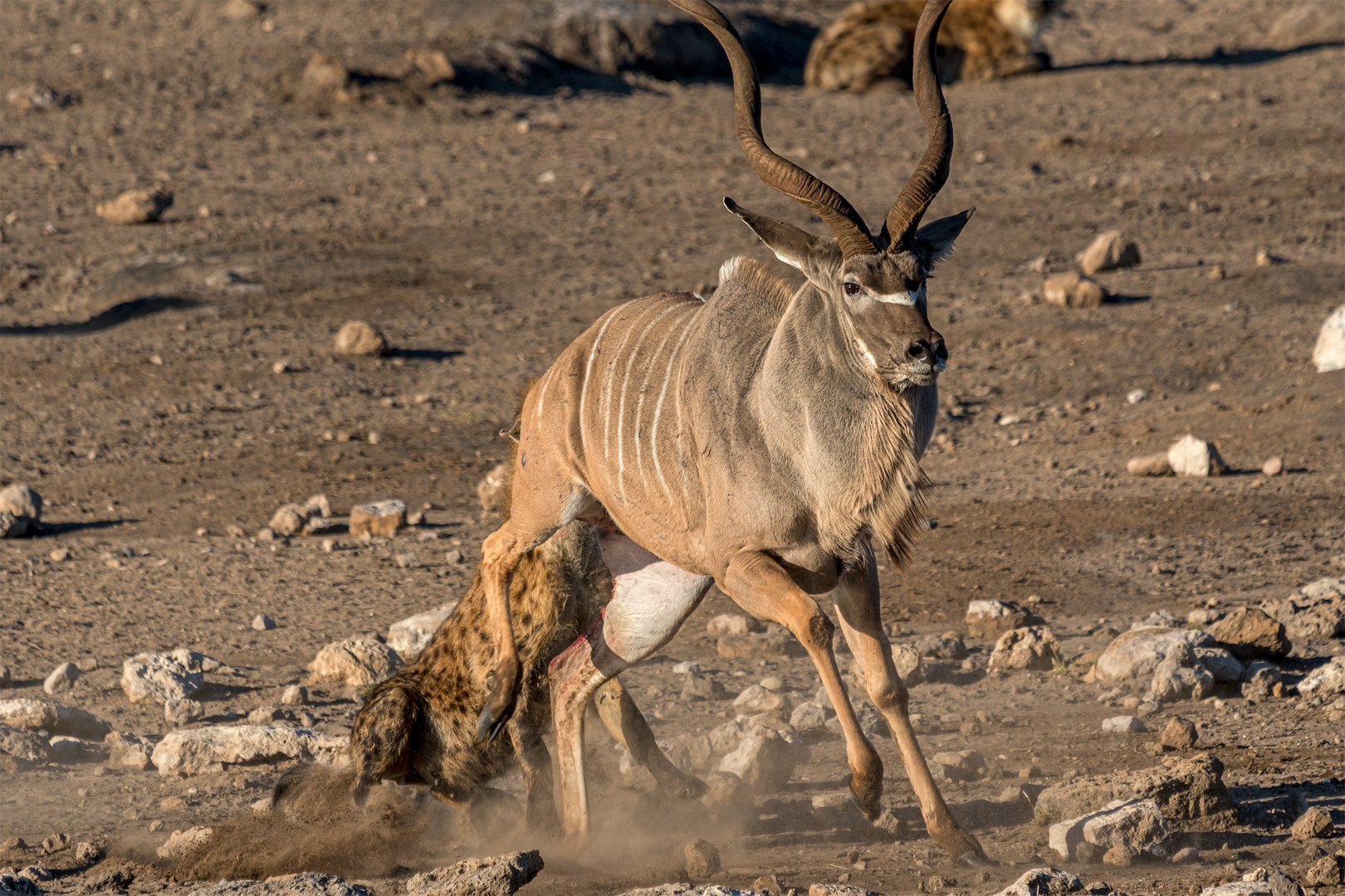 01_Erinnerung an Namibia April 2017