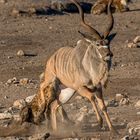 01_Erinnerung an Namibia April 2017