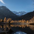 01_Pontresina Morteratsch Herbst