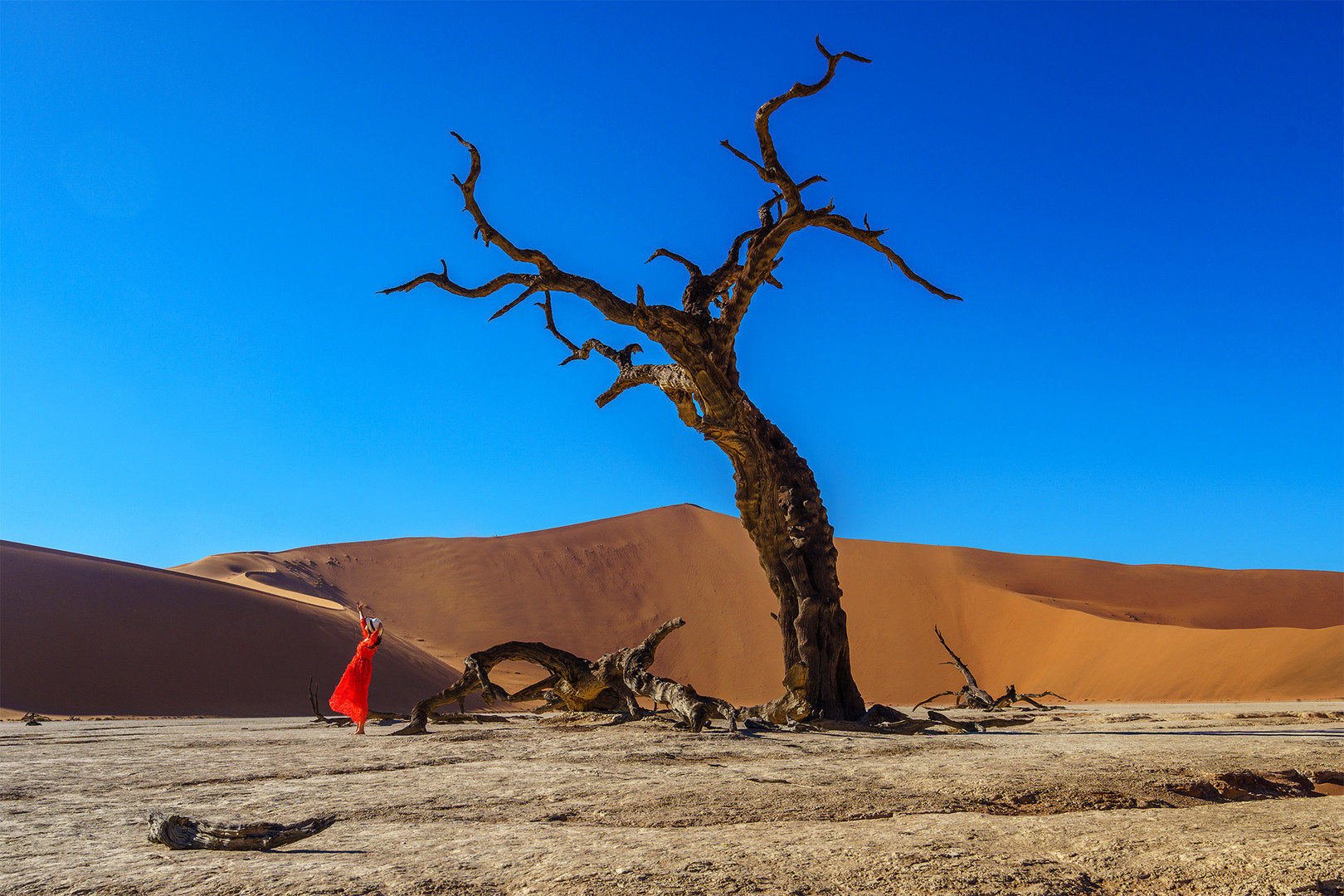 02. Deadvlei 