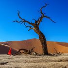 02. Deadvlei 