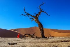 02. Deadvlei 