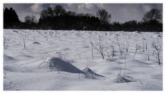 02 Heute im Westerwald zwischen Elkenroth und Rosenheim