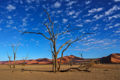 02. Namibia Wildlife Resorts Sesriem