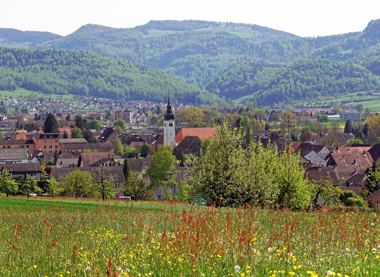 02016 Frühling im Baselland (Schweiz)