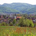 02016 Frühling im Baselland (Schweiz)