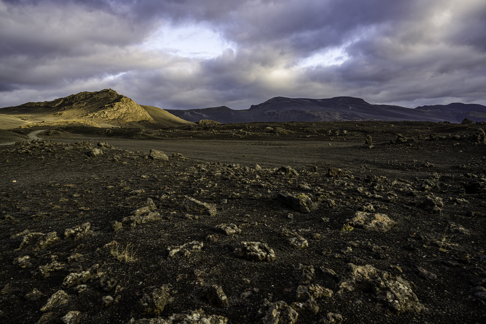 0207 Rauðkembingar