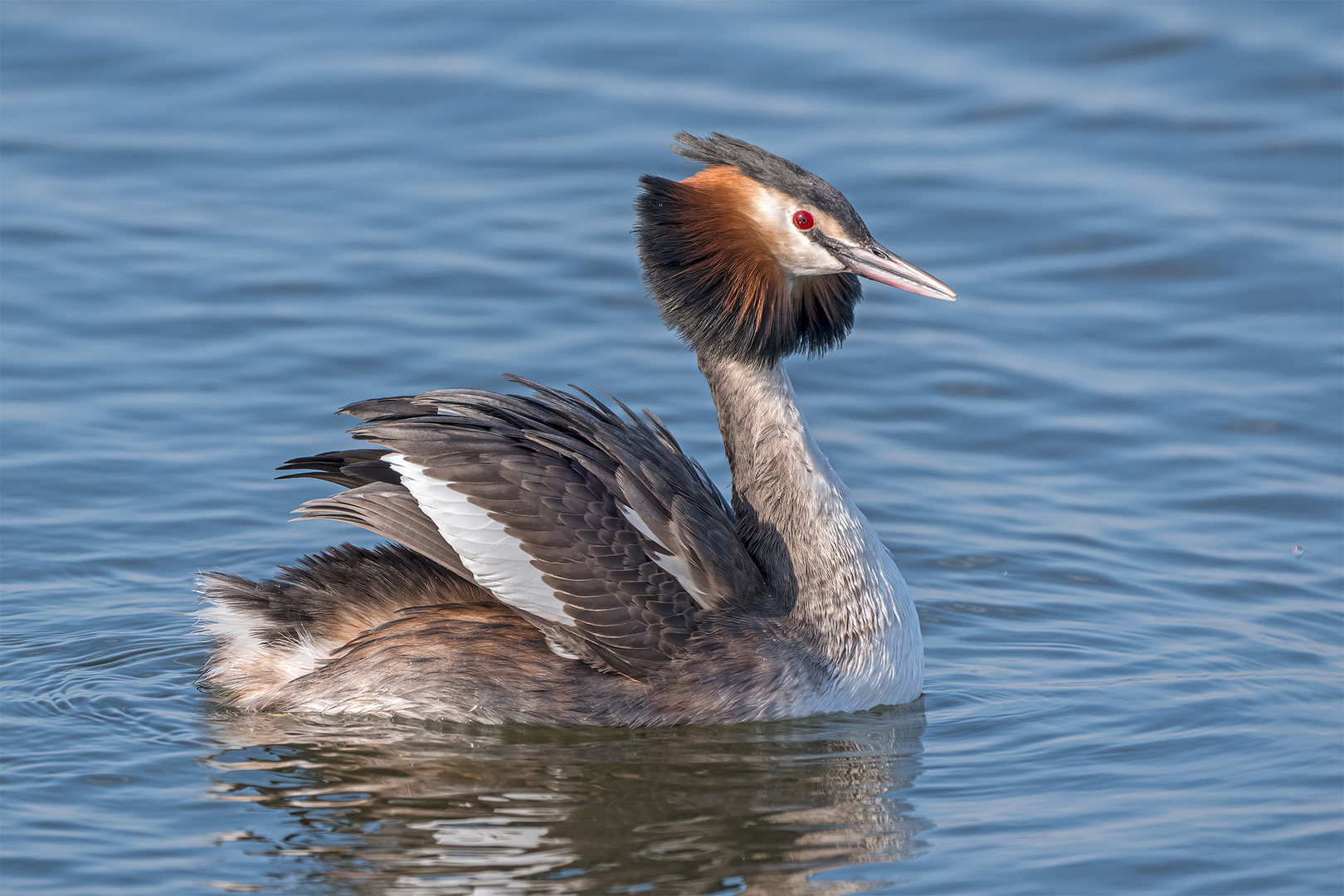 020_Steinhude / Steinhuder Meer