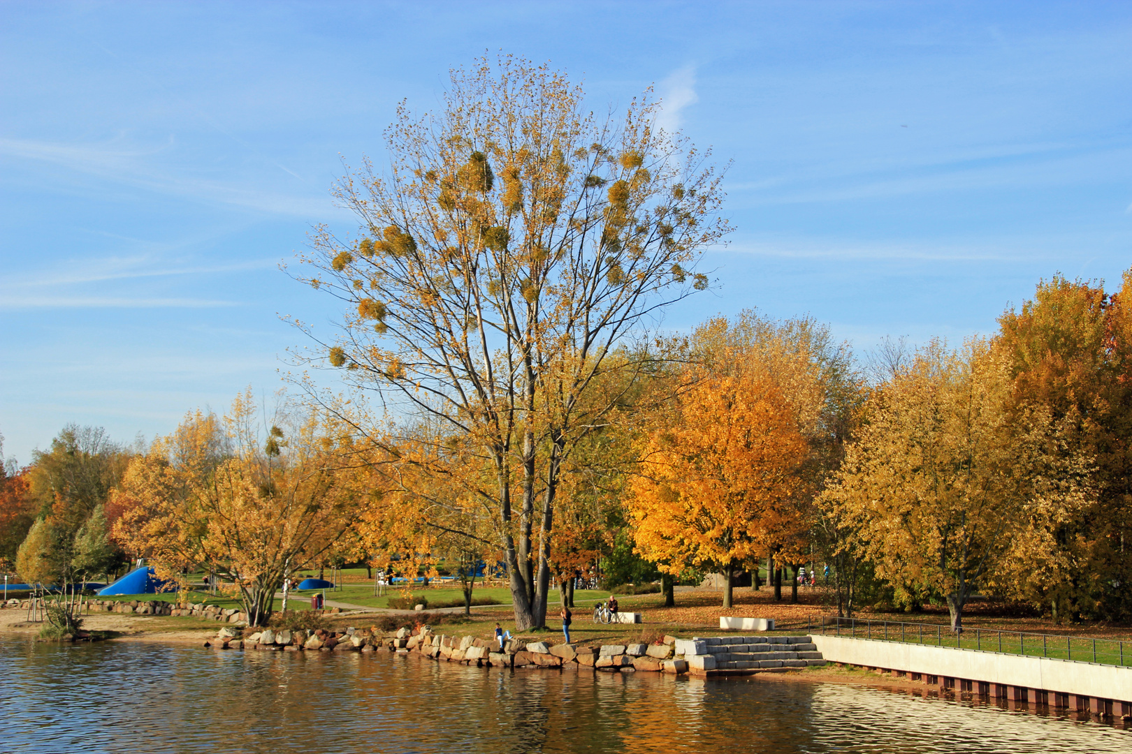 02.11. 14: Ein sonniger Novembertag am Senftenberger See