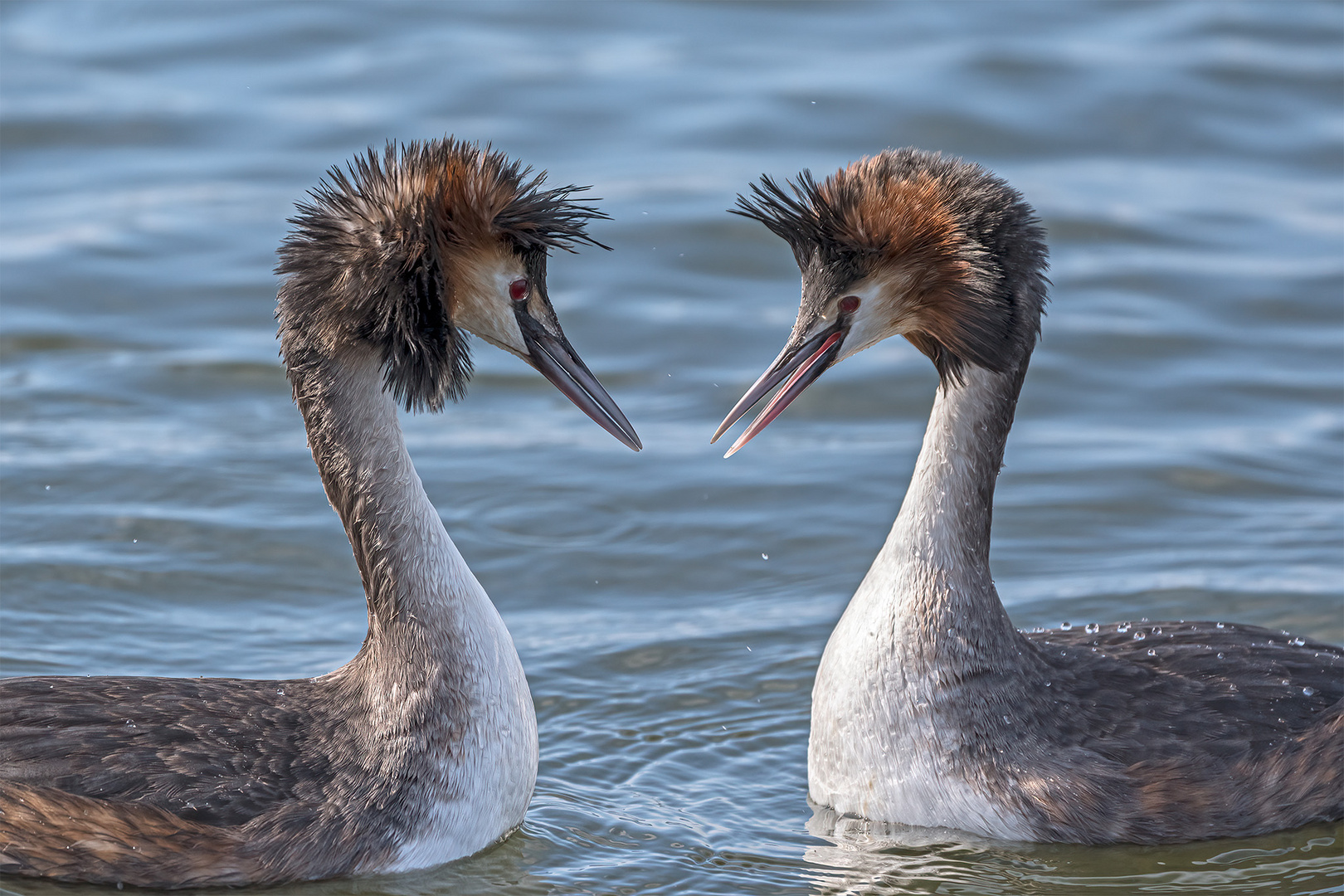 021_Steinhude / Steinhuder Meer