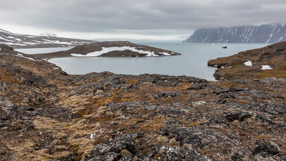 023-20230624 - Spitzberge-Signehamna+Lilliehookbreen+Tinayrebukta - _U8A4522-Bearbeitet