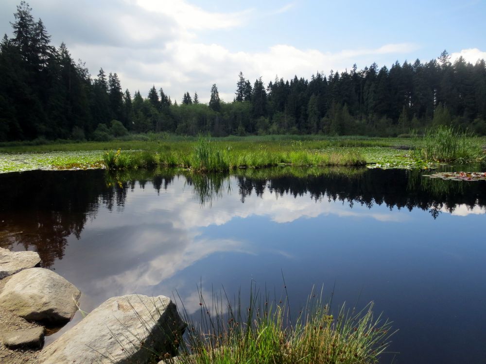 Beaver Lake - Vancouver, Kanada von ChristelKue