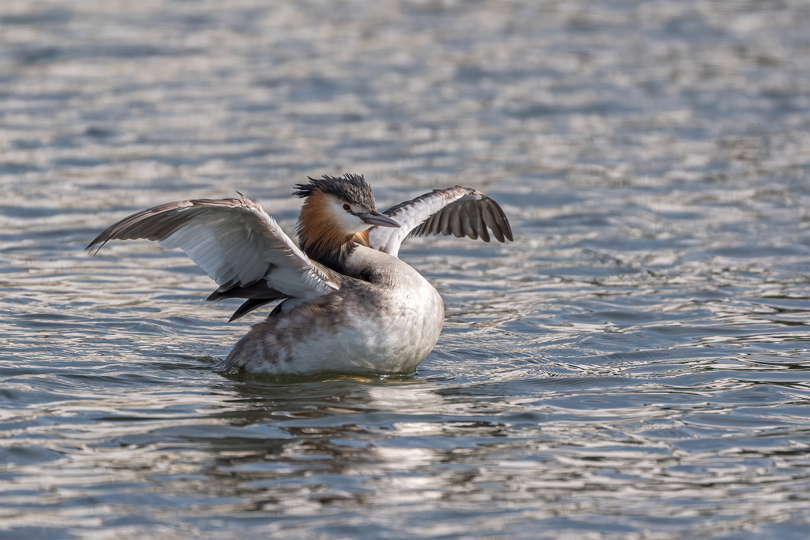 023_Steinhude / Steinhuder Meer