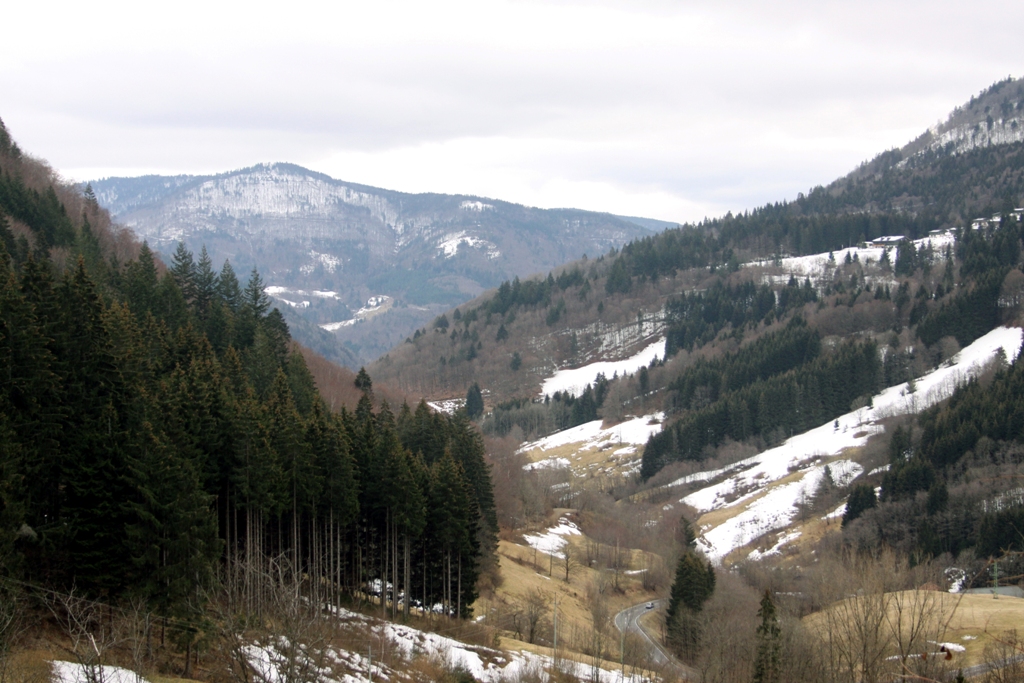 024 Winterlandschaften im Schwarzwald (Todtnau)