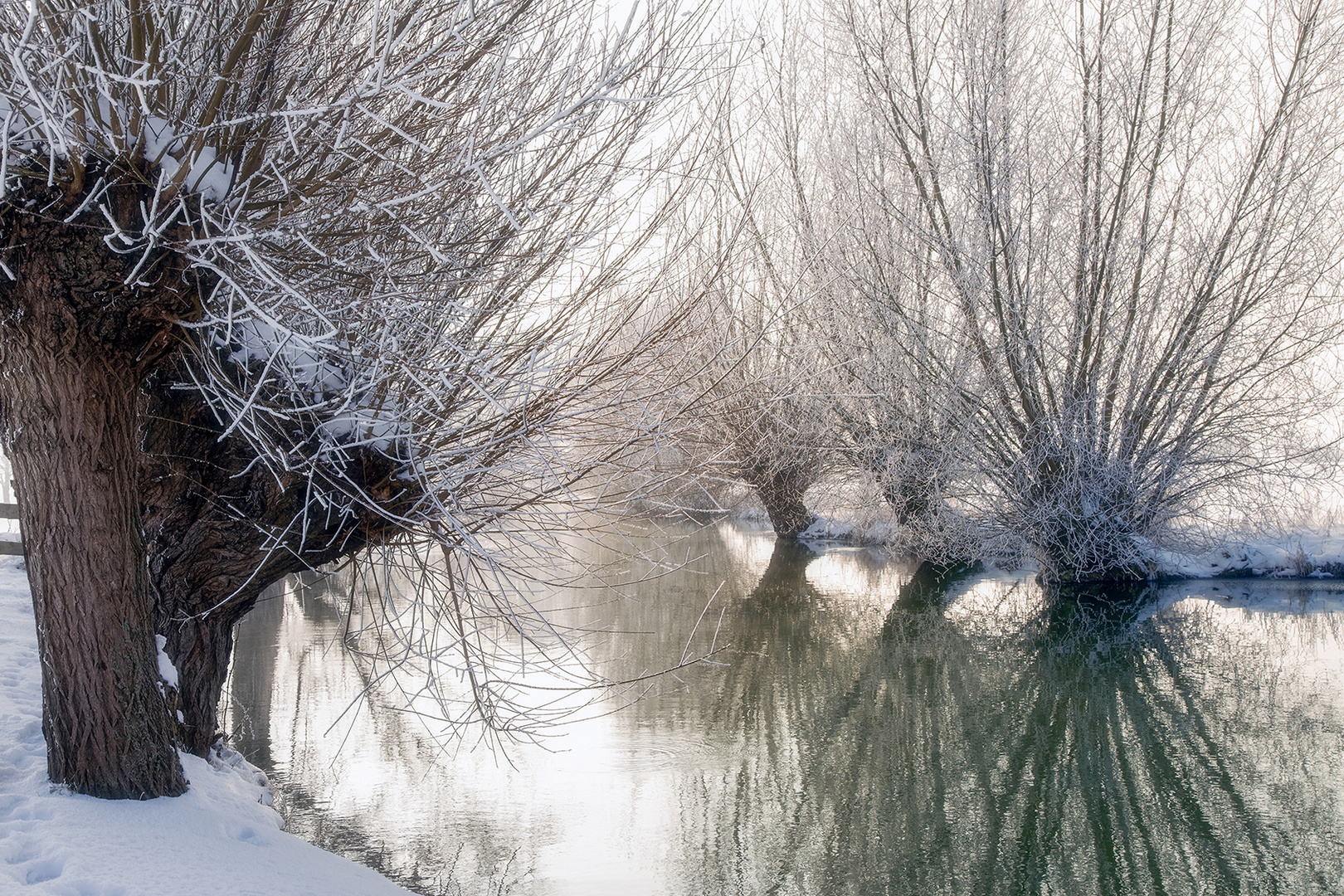 024E Weiden an der Aue bei Rehren im Winterrauhreif