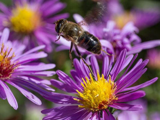 025 Abheben_Heinz Schaub