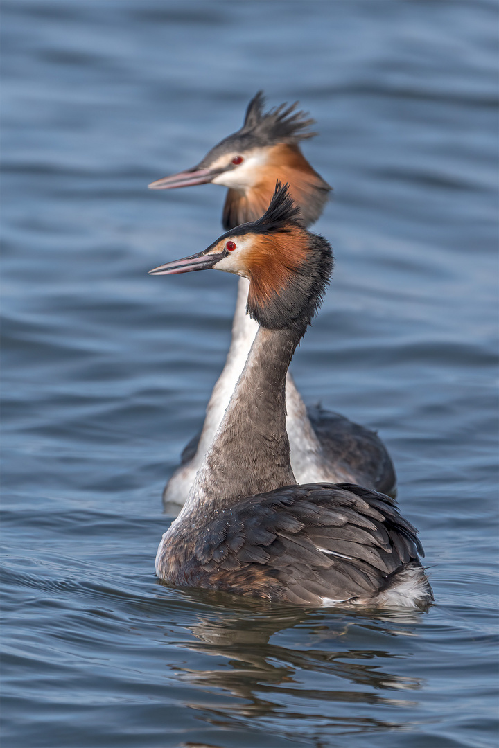 025_Steinhude / Steinhuder Meer