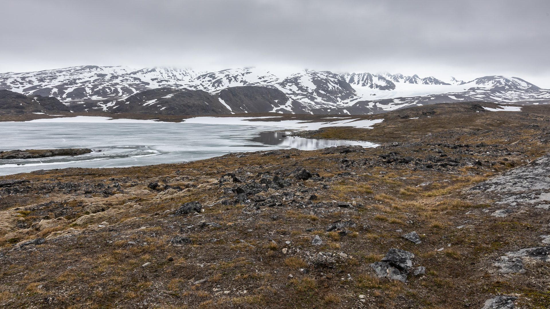 026-20230624 - Spitzberge-Signehamna+Lilliehookbreen+Tinayrebukta - _U8A4527-Bearbeitet