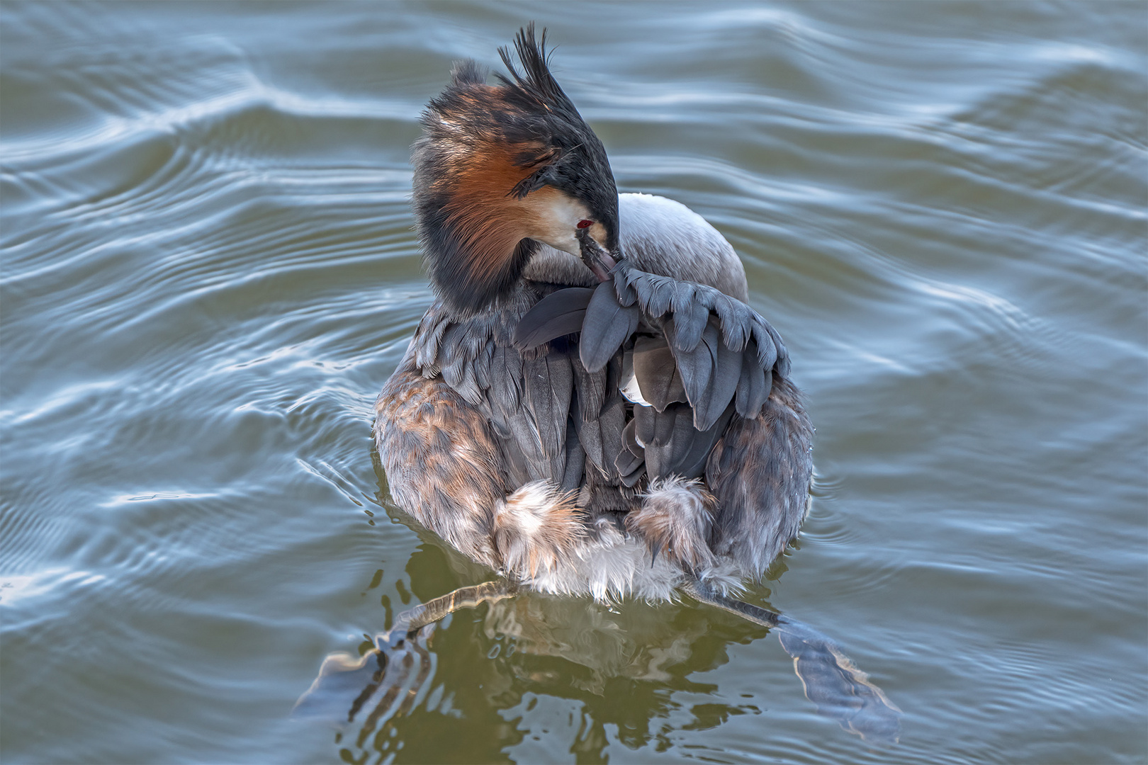 026_Steinhude / Steinhuder Meer