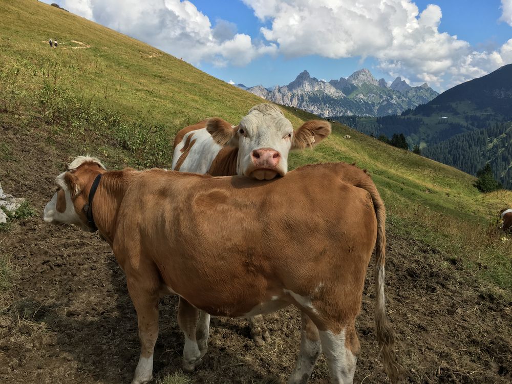 So ist das Allgäu! von Kokegawa