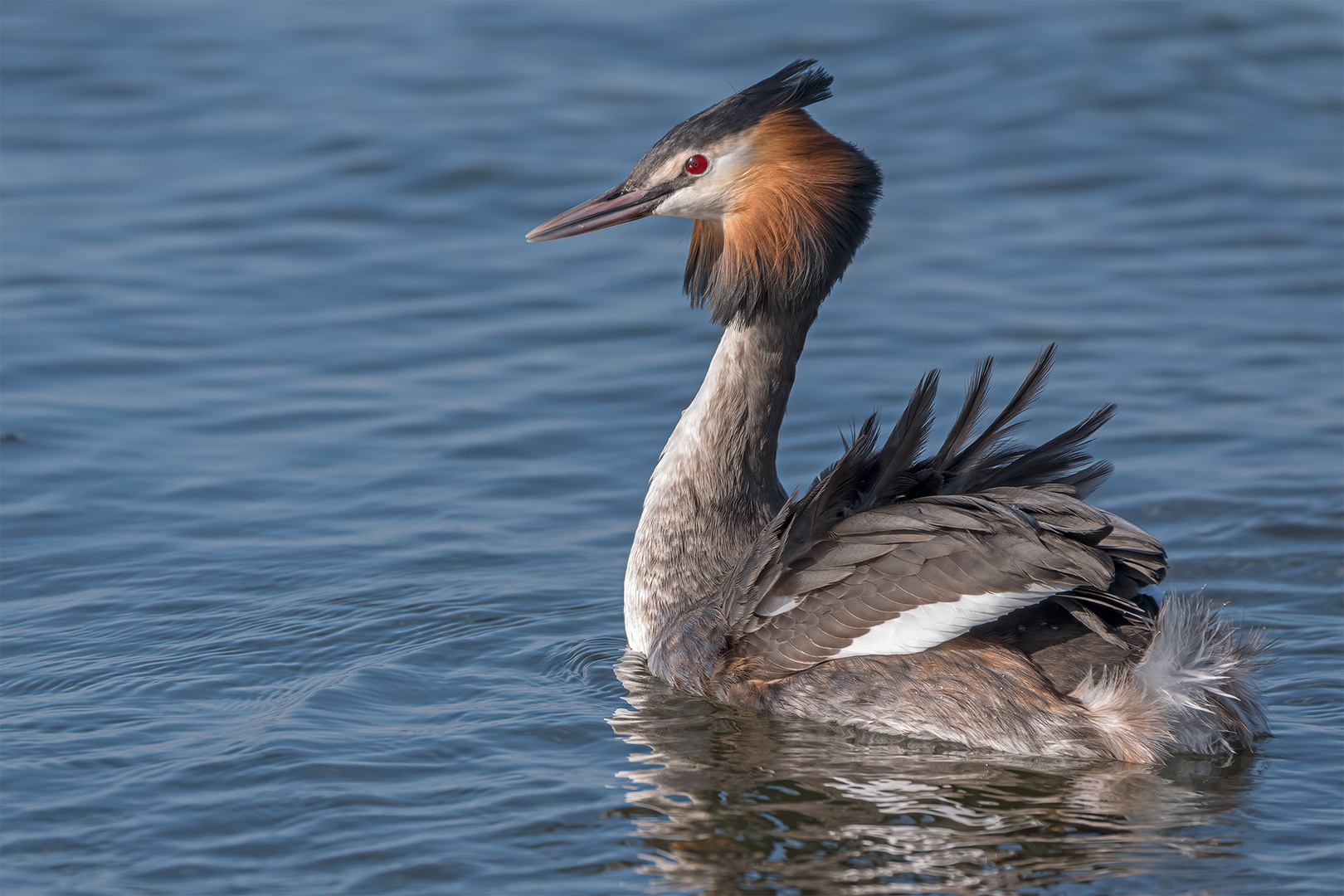 028_Steinhude / Steinhuder Meer