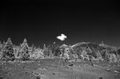 Wolke über dem Teide von Holger Hütte 