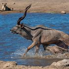 02_Erinnerung an Namibia April 2017