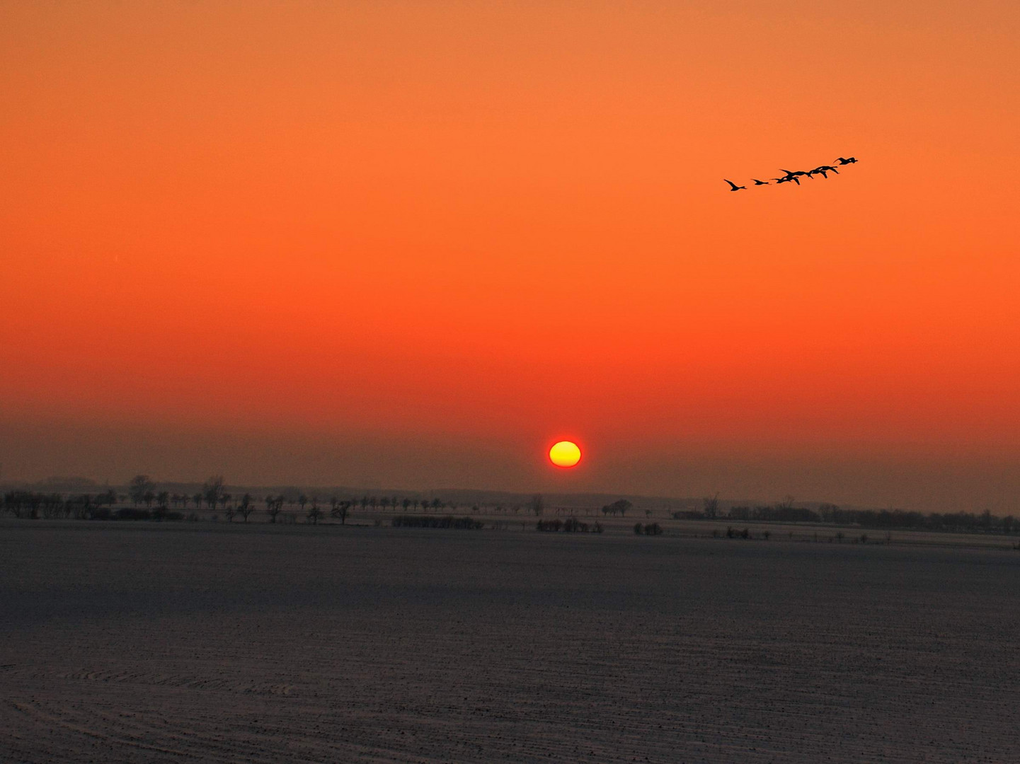 02.Februar12 Winter Sonne