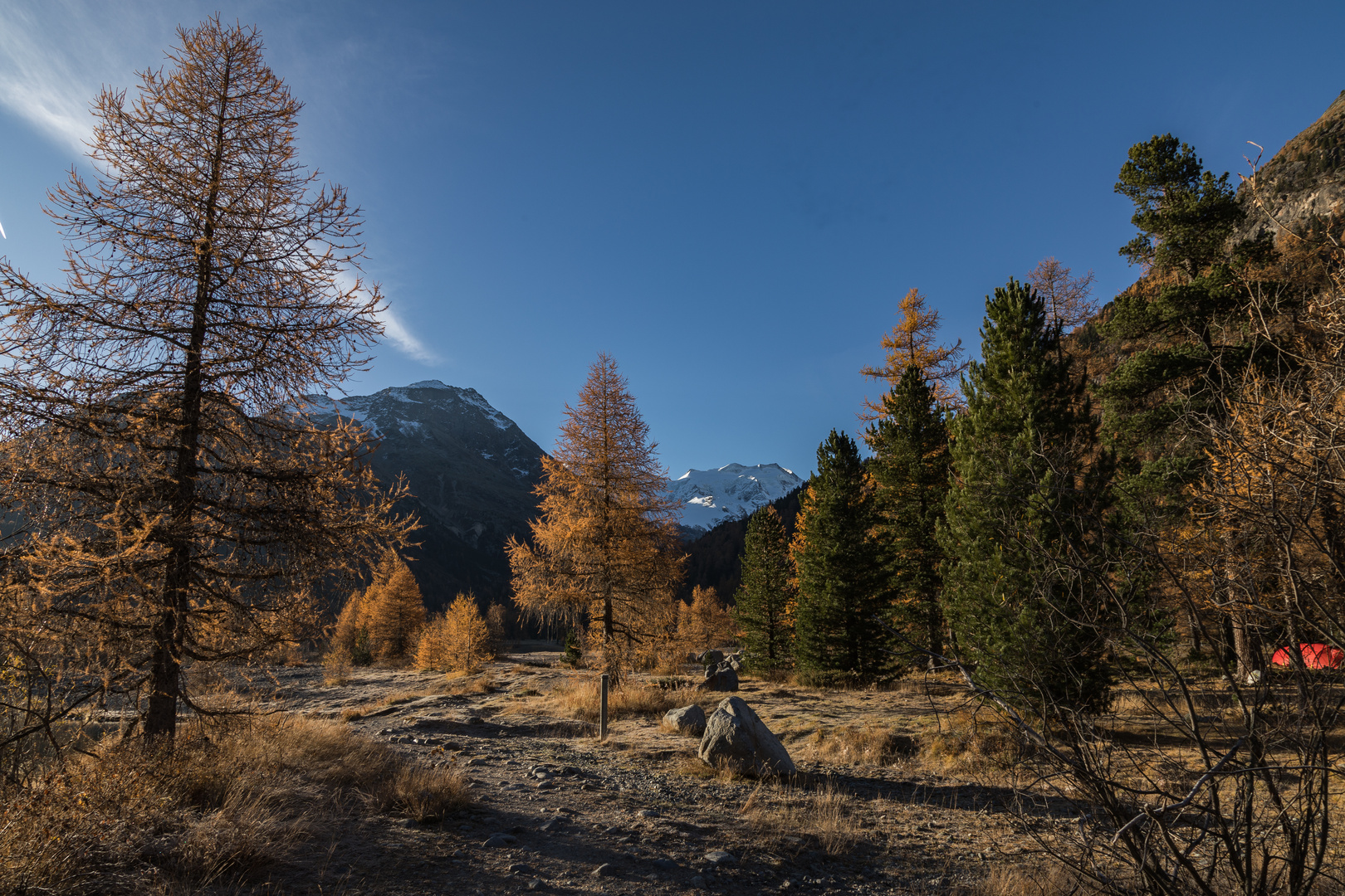 02_Pontresina Morteratsch Herbst