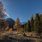 02_Pontresina Morteratsch Herbst