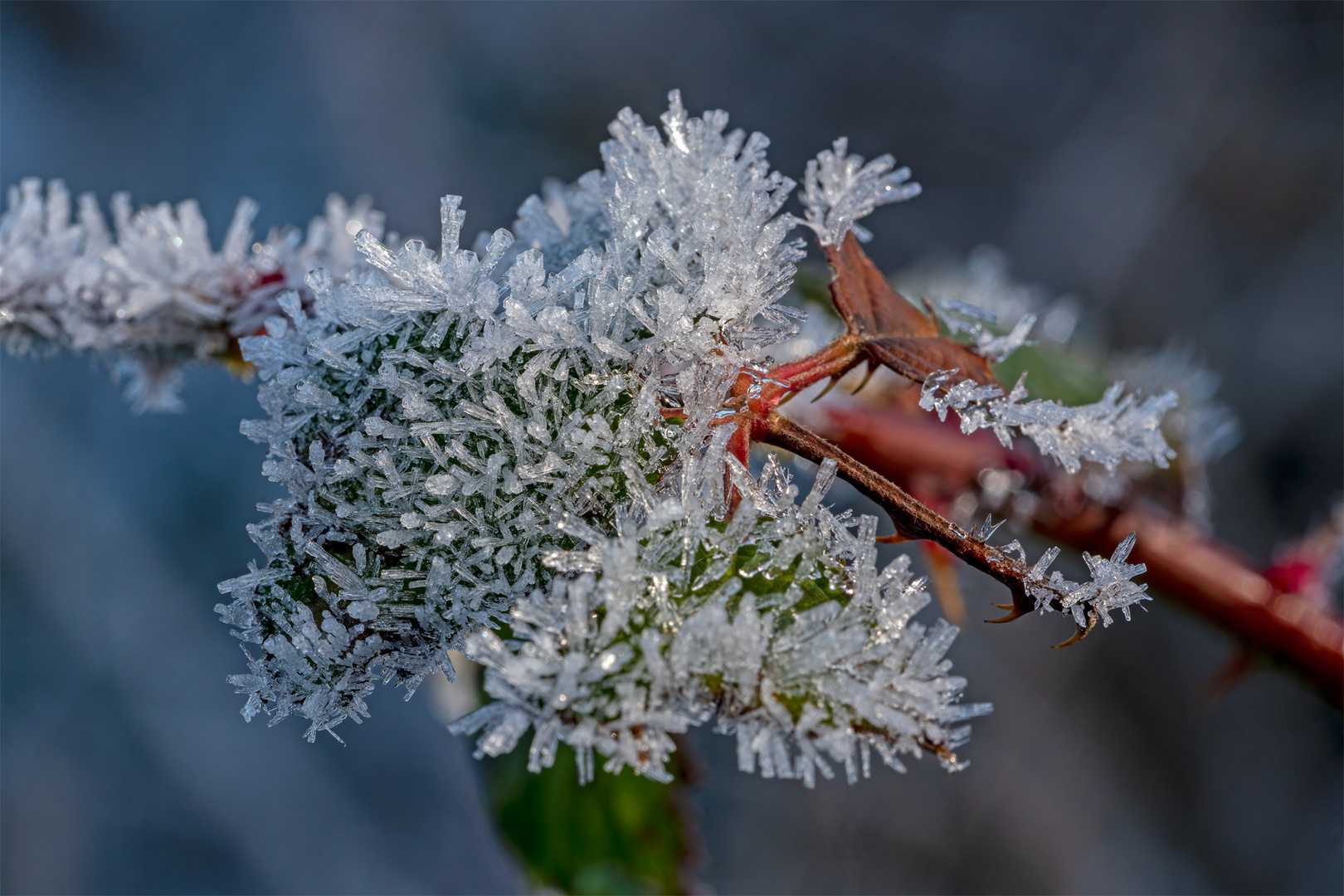  02_Winterimpressionen