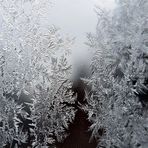 03 / 52 _ eisig