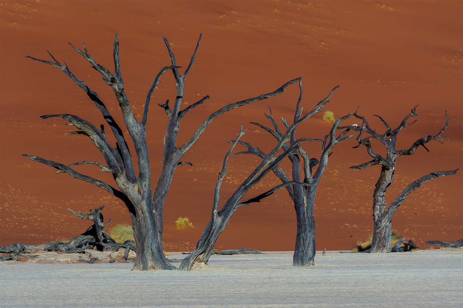 03. Deadvlei Foto & Bild urlaub, natur, landschaft Bilder auf