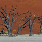 03. Deadvlei