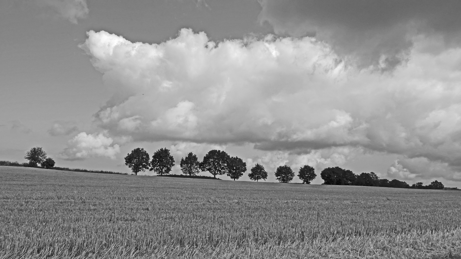 03 Höhenweg in Knüllgebirge