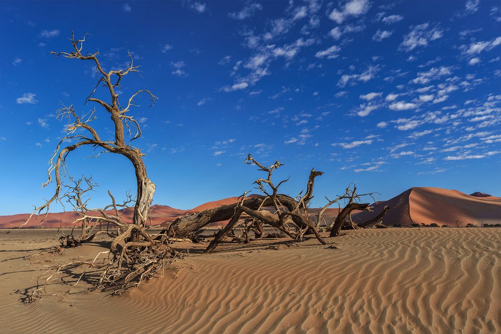 03. Namibia Wildlife Resorts Sesriem