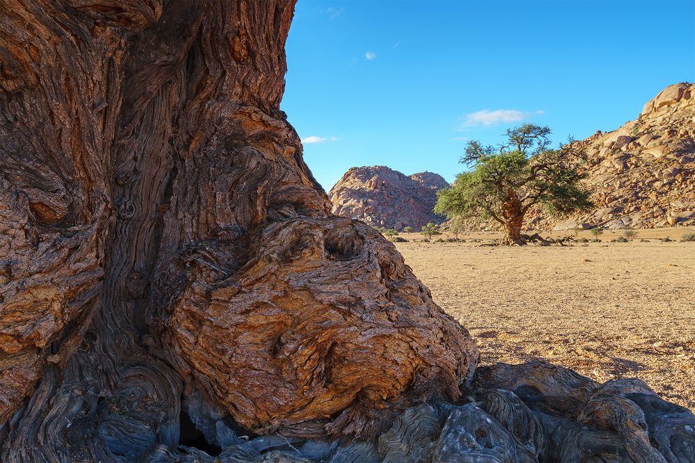 03. Namtib Desert lodge