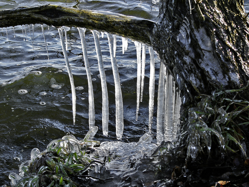 (03) Winterspaziergang...