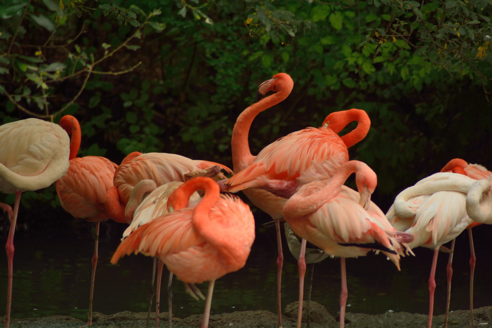 03 Zoo Hellabrunn München 2018