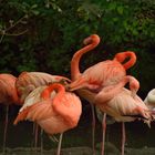 03 Zoo Hellabrunn München 2018