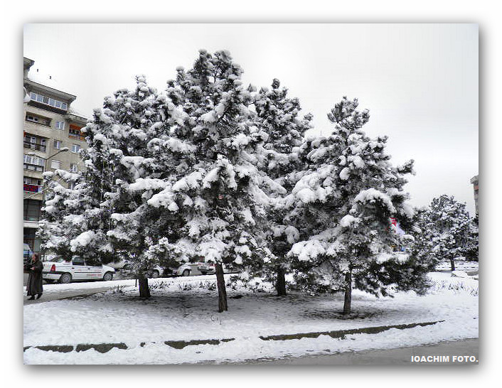 03.02.2011,Alba Iulia