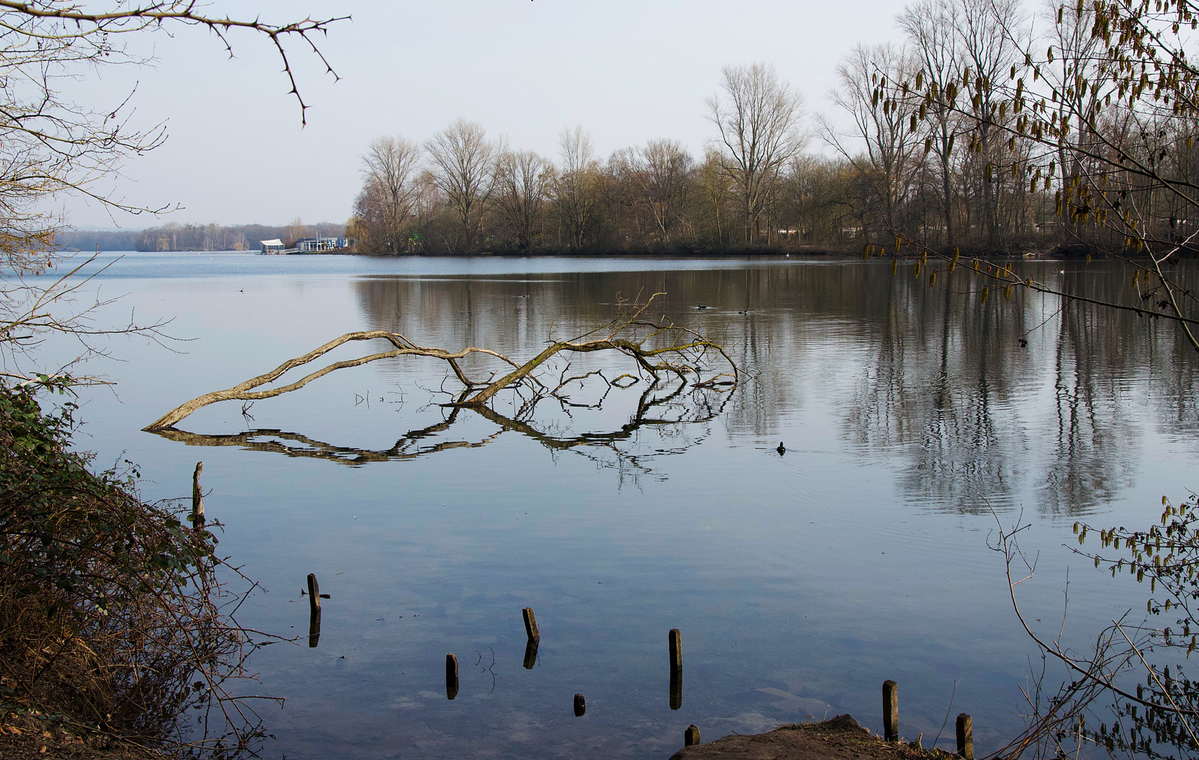 03.03.21 Unterbacher See-1