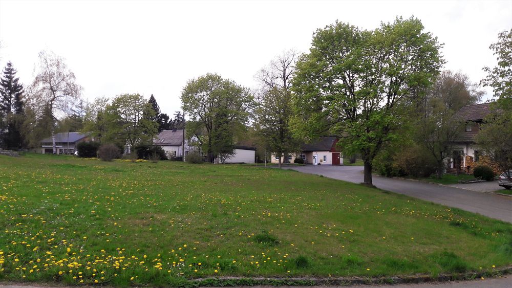 03.05.2020 Dorfanger mitten in Lösten OT Zell im Fichtelgebirge