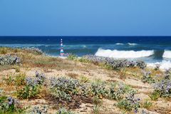 0316_11 __TERRAMARE__