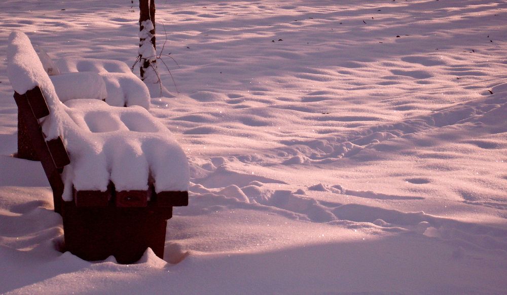 Parkbank im Winter von Wolfgang Lützgendorf